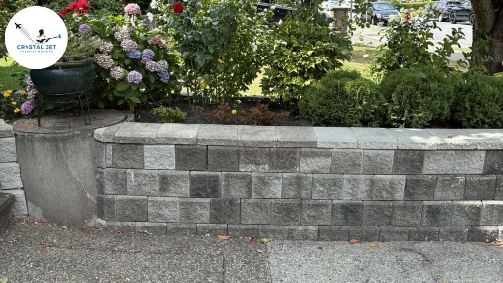 DIY v s. Professional Driveway Cleaning: Which Is Better?