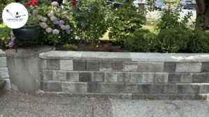 DIY vs Professional Driveway Cleaning | Which Is Better?